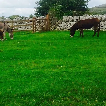 Bed & Breakfast Loughrask Ballyvaughan
